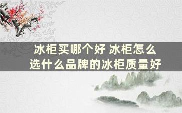 冰柜买哪个好 冰柜怎么选什么品牌的冰柜质量好